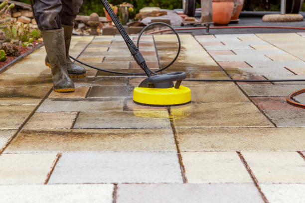Animal Enclosure Cleaning in Arnold Line, MS